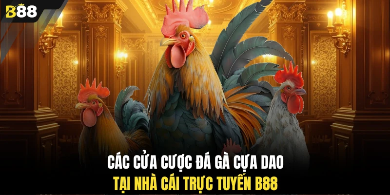 Các cửa cược đá gà cựa dao tại nhà cái trực tuyến B88