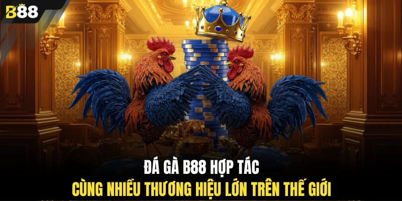 Đá gà B88 hợp tác cùng nhiều thương hiệu lớn trên thế giới