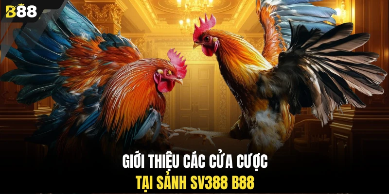 Giới thiệu các cửa cược tại sảnh SV388 B88