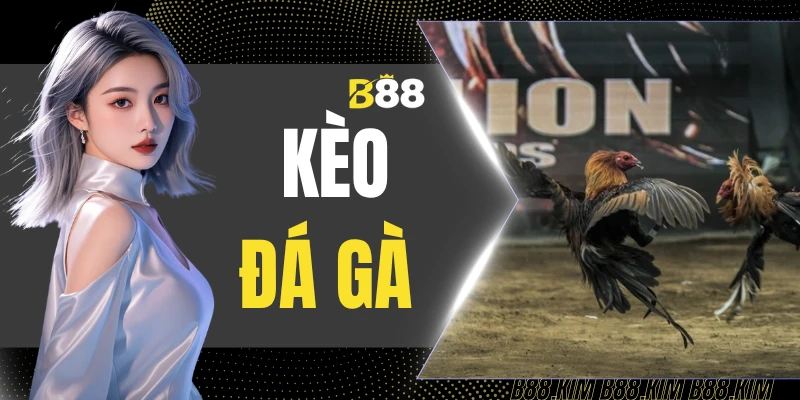 Kèo Đá Gà