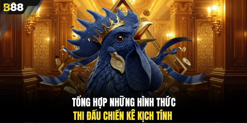 Tổng hợp những hình thức thi đấu chiến kê kịch tính