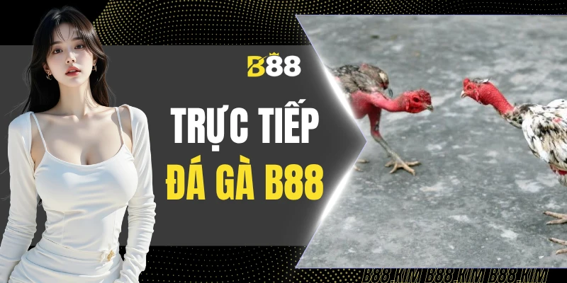 Trực Tiếp Đá Gà B88