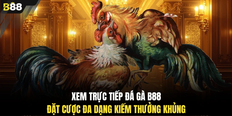 Xem trực tiếp đá gà B88 đặt cược đa dạng kiếm thưởng khủng